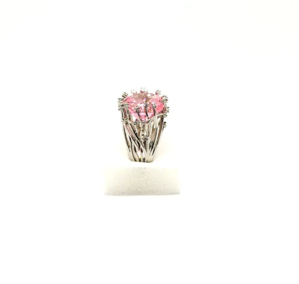 Rose - immagine 4